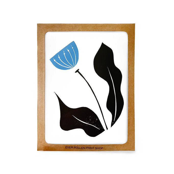 Floral Boxed Card Sets