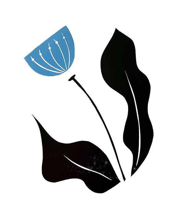 Floral Boxed Card Sets-zoom-8