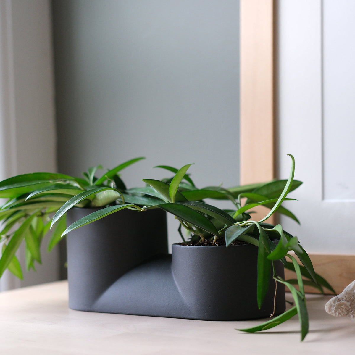 Double Planter-5