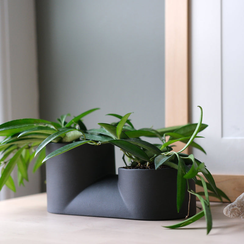 Double Planter-zoom-