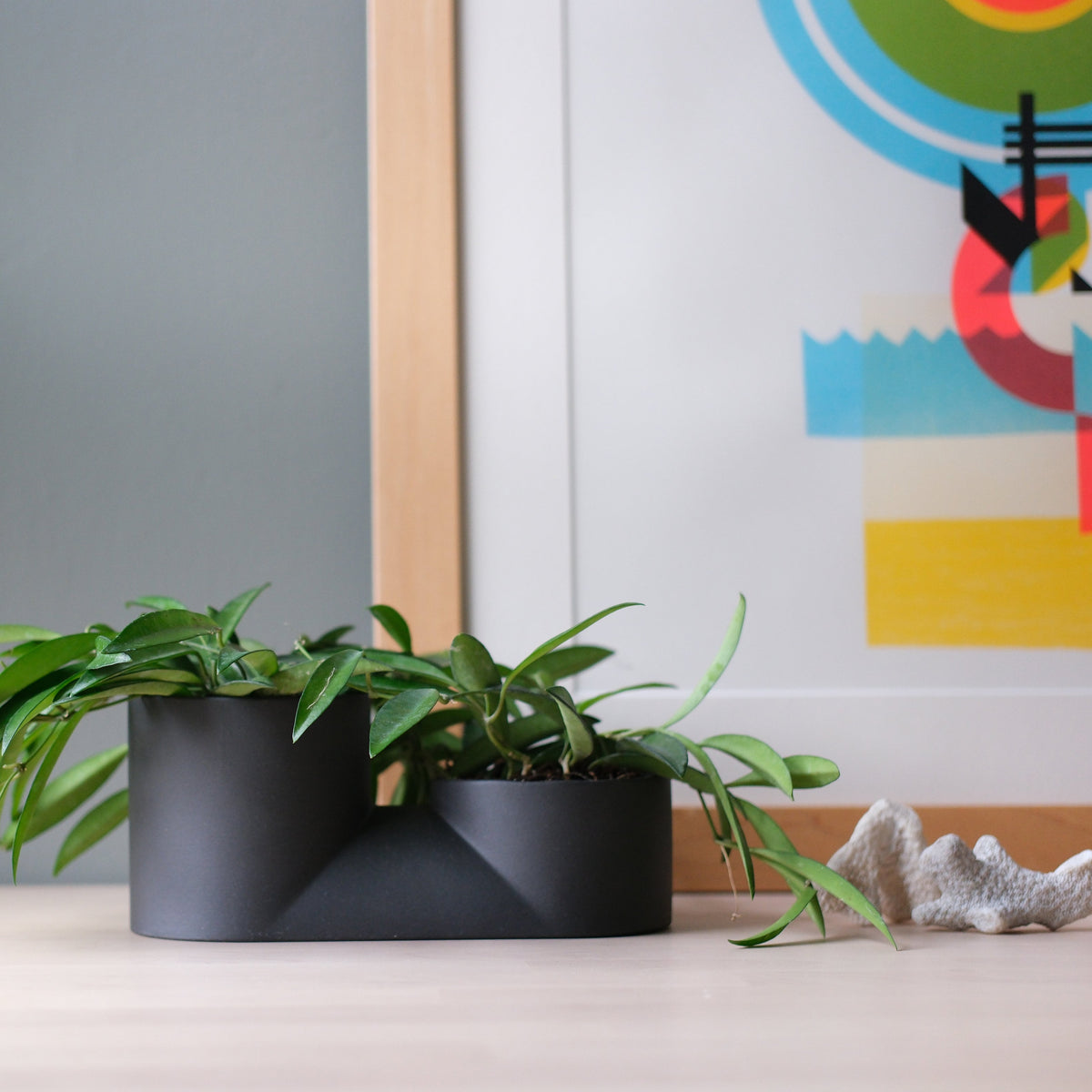 Double Planter-6