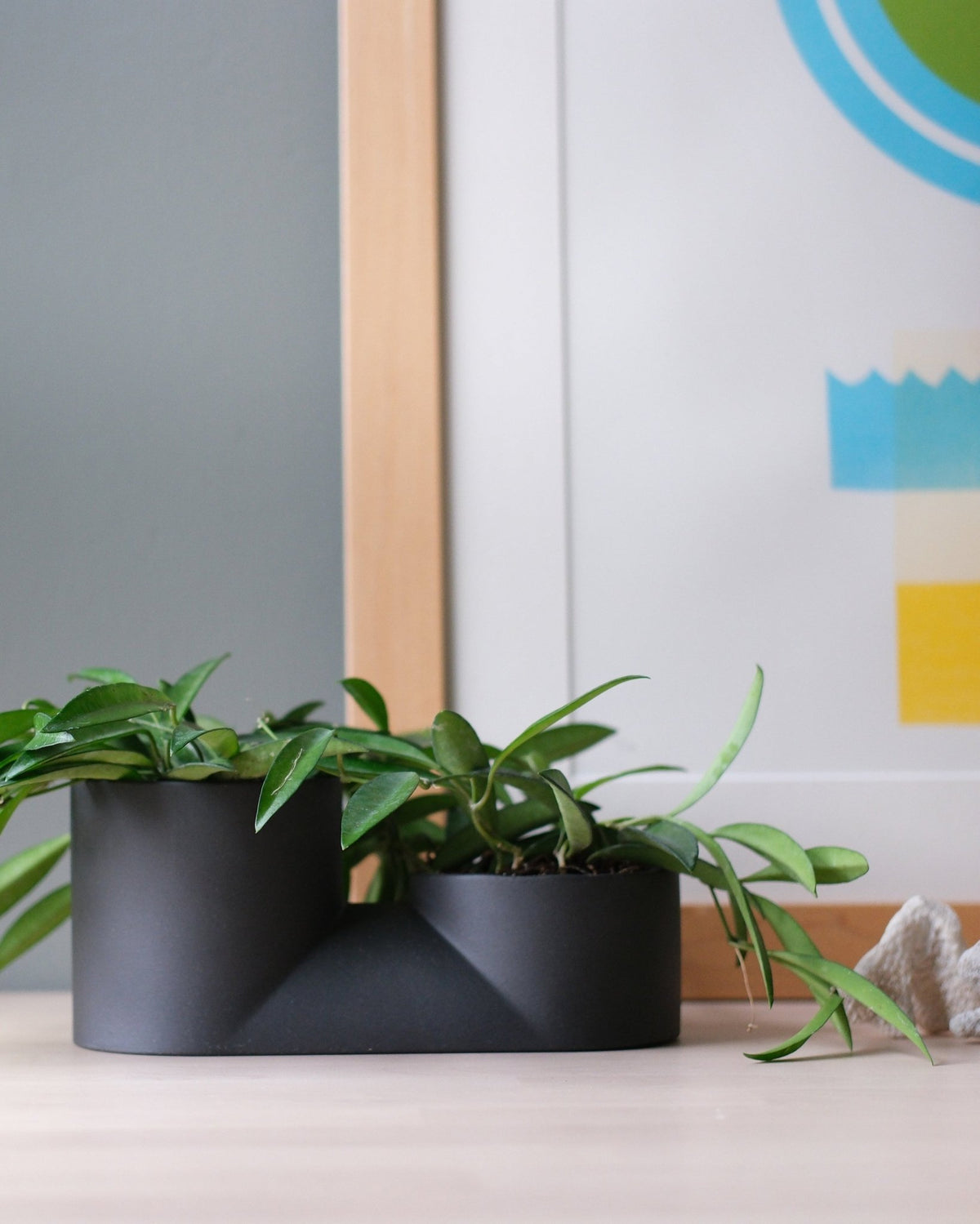 Double Planter - Aware House - Misewell -