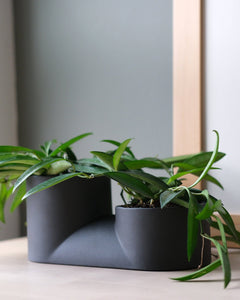 Double Planter - Aware House - Misewell -