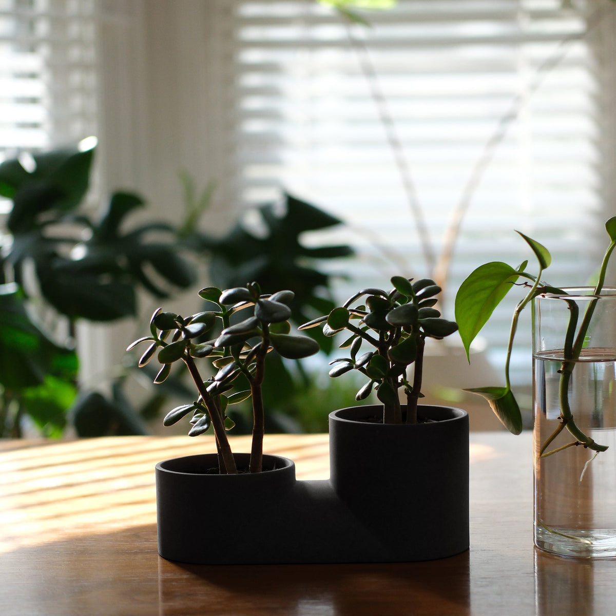 Double Planter-7