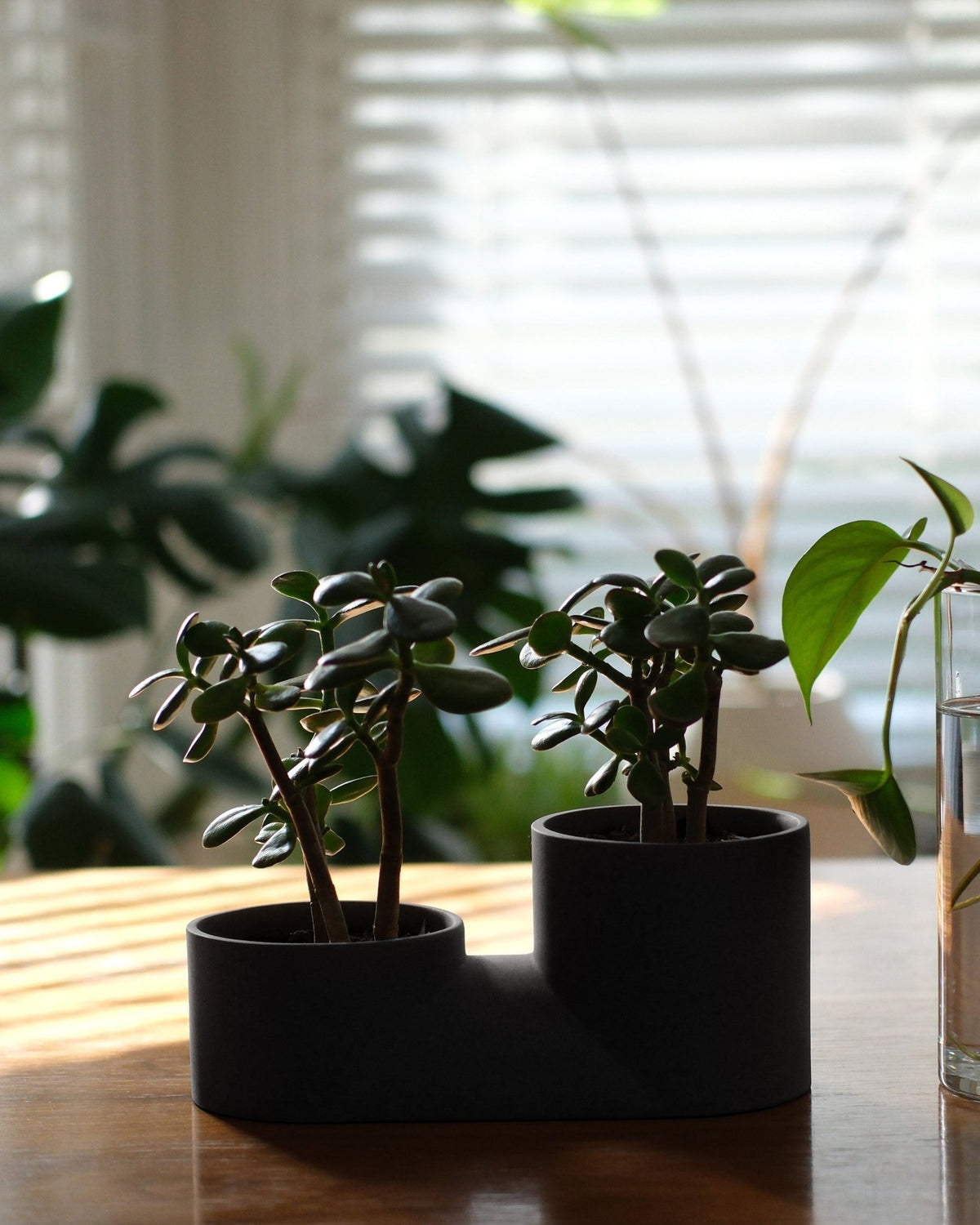 Double Planter - Aware House - Misewell -