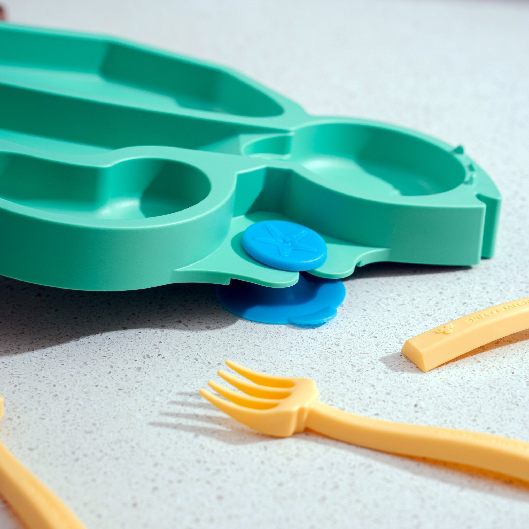 Turtle Training Plate and Utensils - Aware House - Constructive Eating -