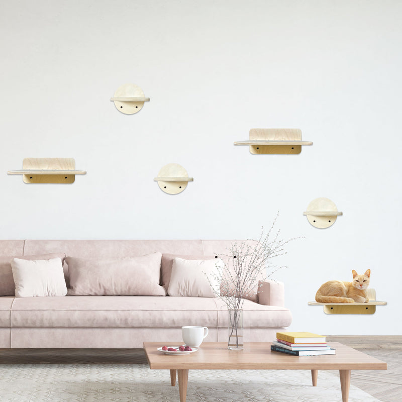 KAT | Cat Wall Climber-zoom-