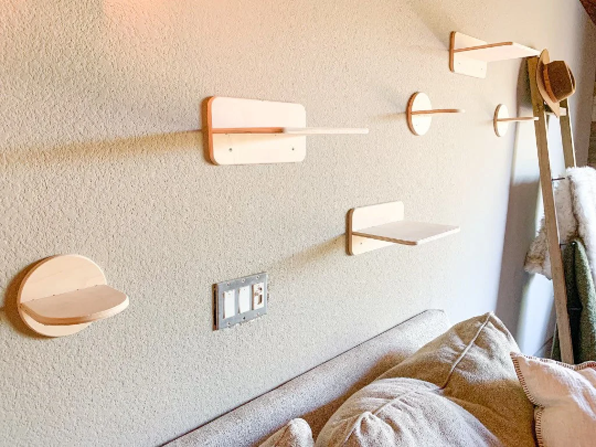 KAT | Cat Wall Climber-zoom-3