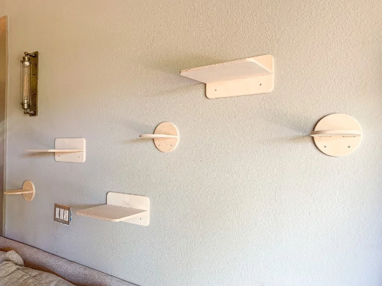 KAT | Cat Wall Climber-5
