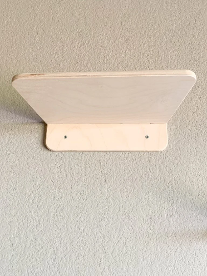 KAT | Cat Wall Climber-zoom-