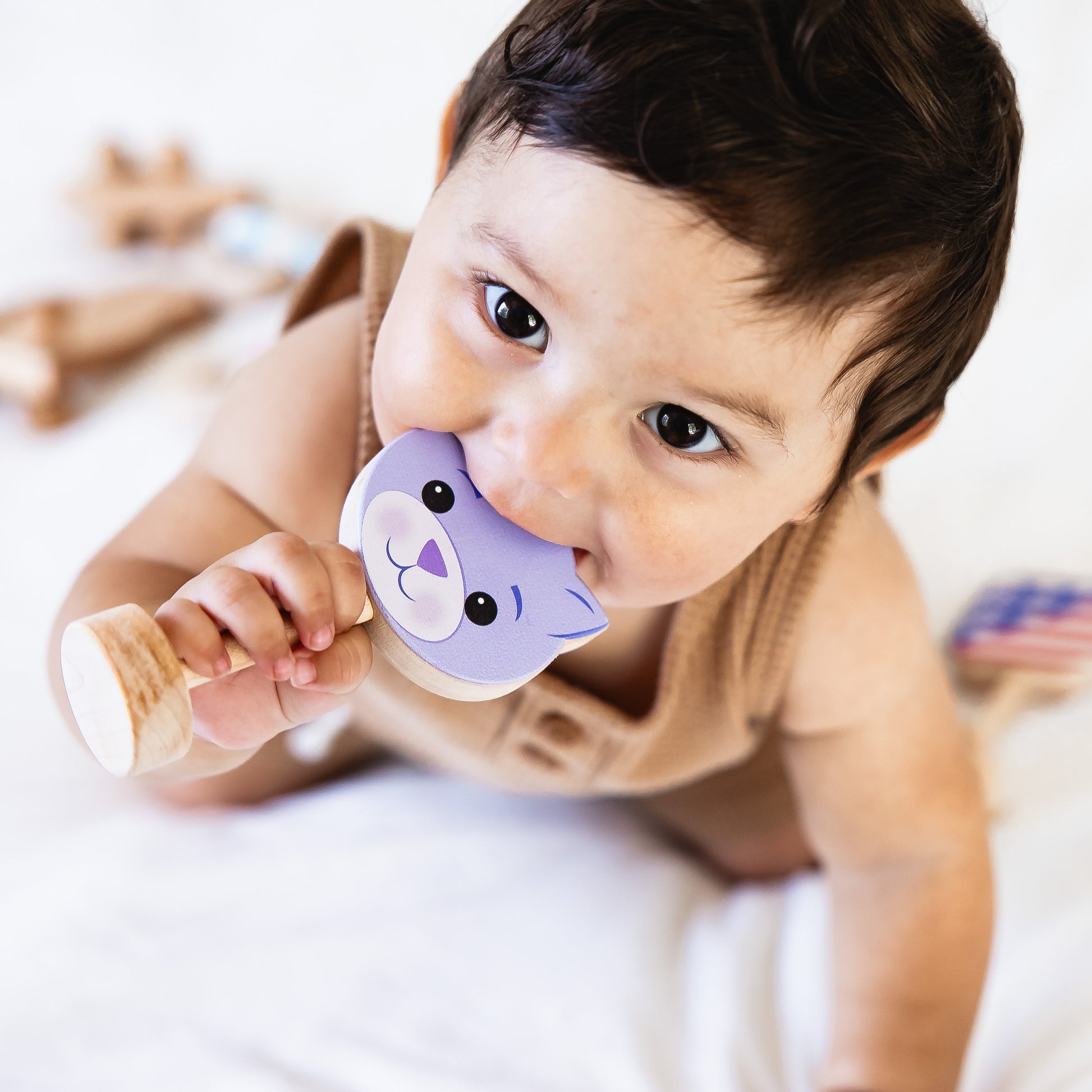 Grasp & Giggle Cat Rattle-2