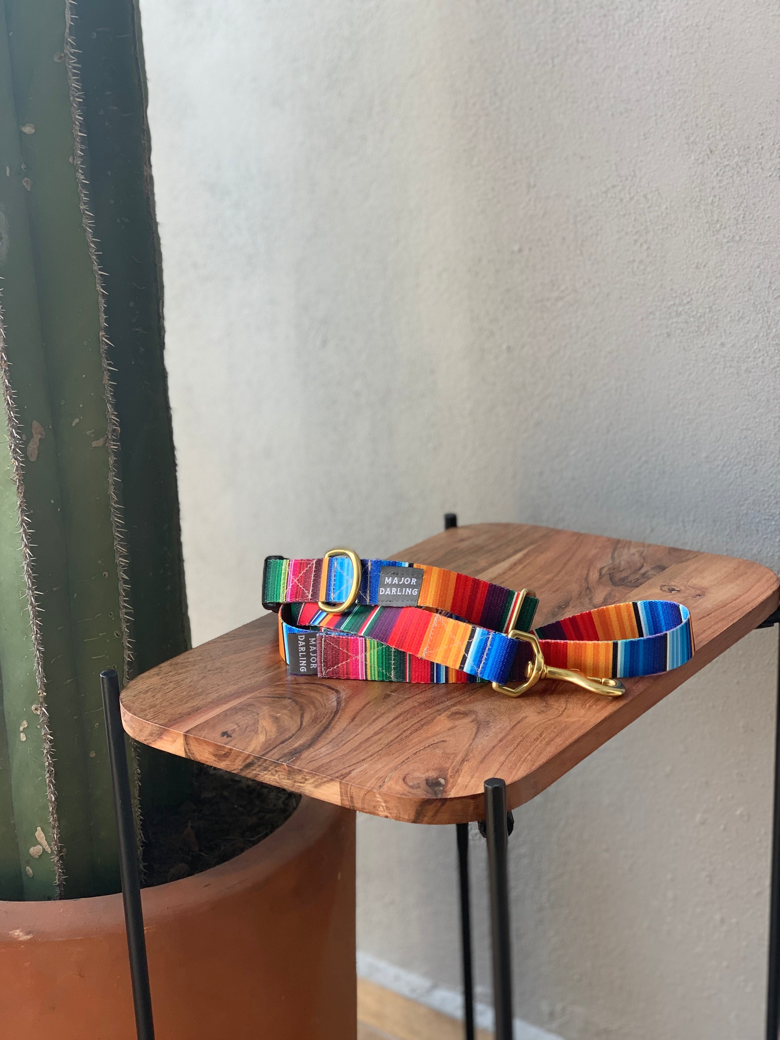 Not-So-Basic Snap Dog Collar / Serape-zoom-8