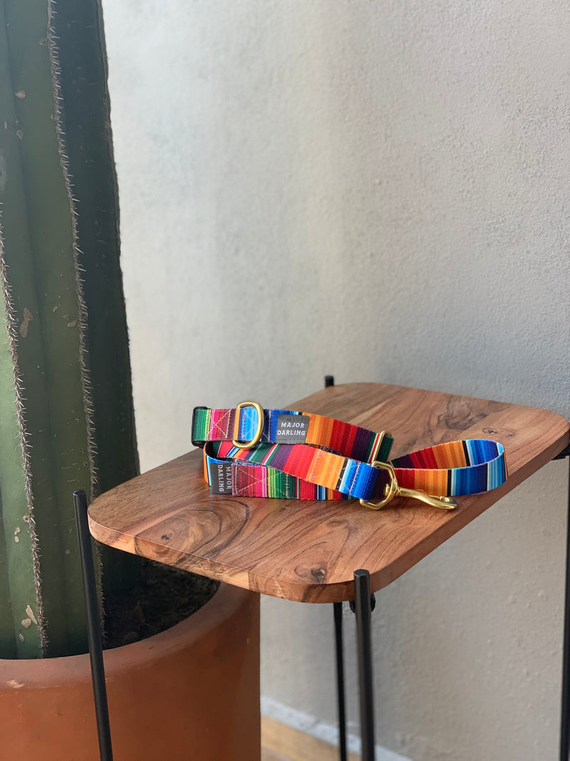 Not-So-Basic Snap Dog Collar / Serape-zoom-