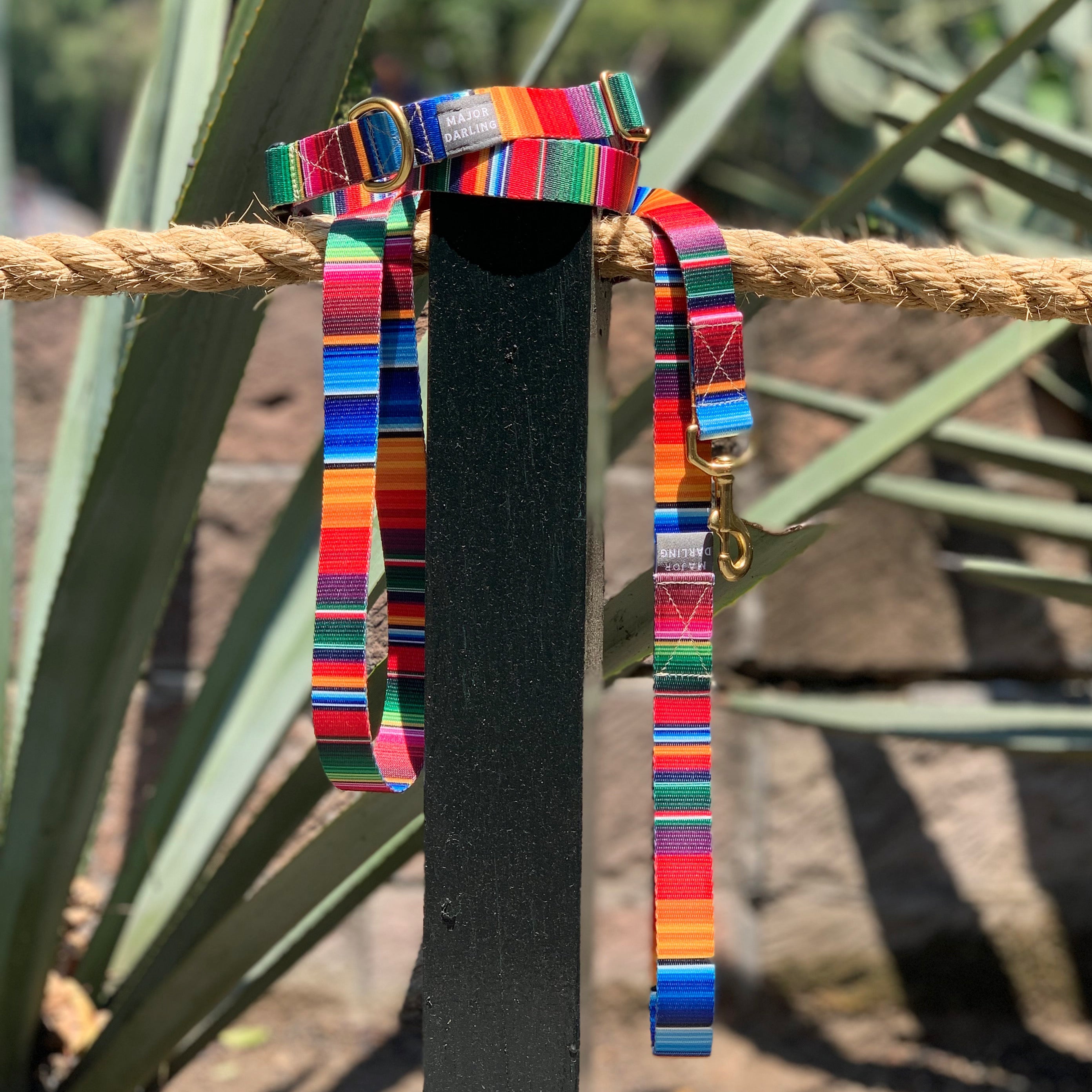 Martingale Dog Collar / Serape + Navy-zoom-5