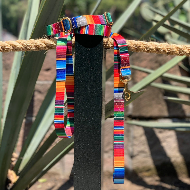 Martingale Dog Collar / Serape + Navy-zoom-