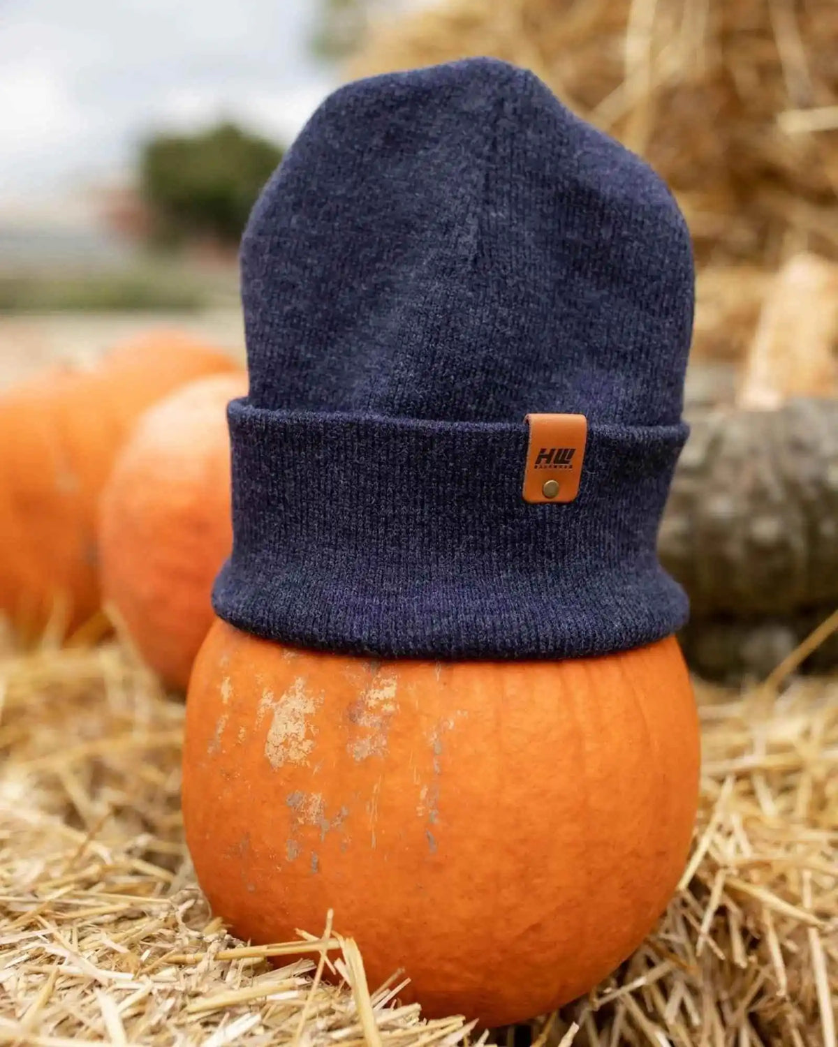 Classic Cuffed Beanie, Denim Blue - Aware House - HAAKWEAR USA -