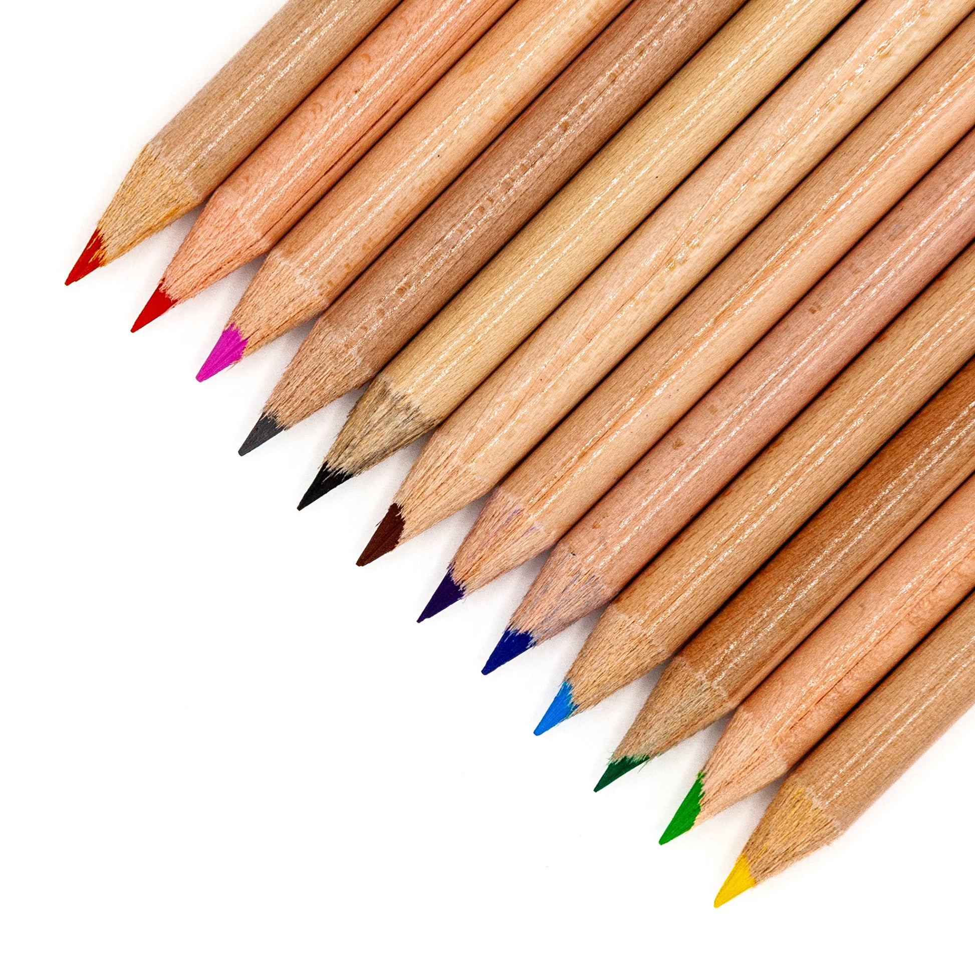 Musgrave Coloring Pencils | 12 Count-7