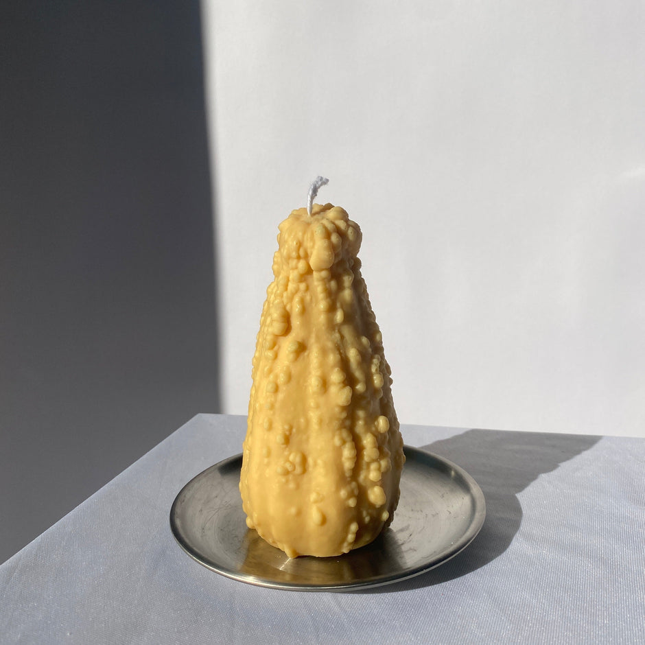 Crookneck Gourd Candle