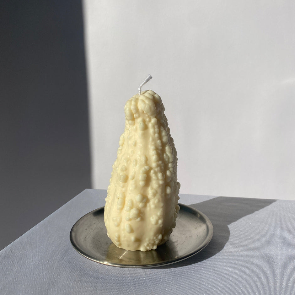 Crookneck Gourd Candle