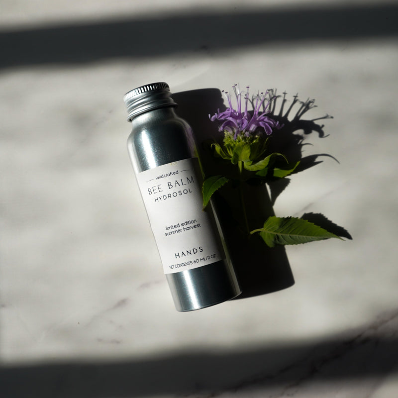Wildcrafted Bee Balm Hydrosol | Limited Edition-zoom-