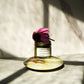 Chrysalis Echinacea Cleansing Balm