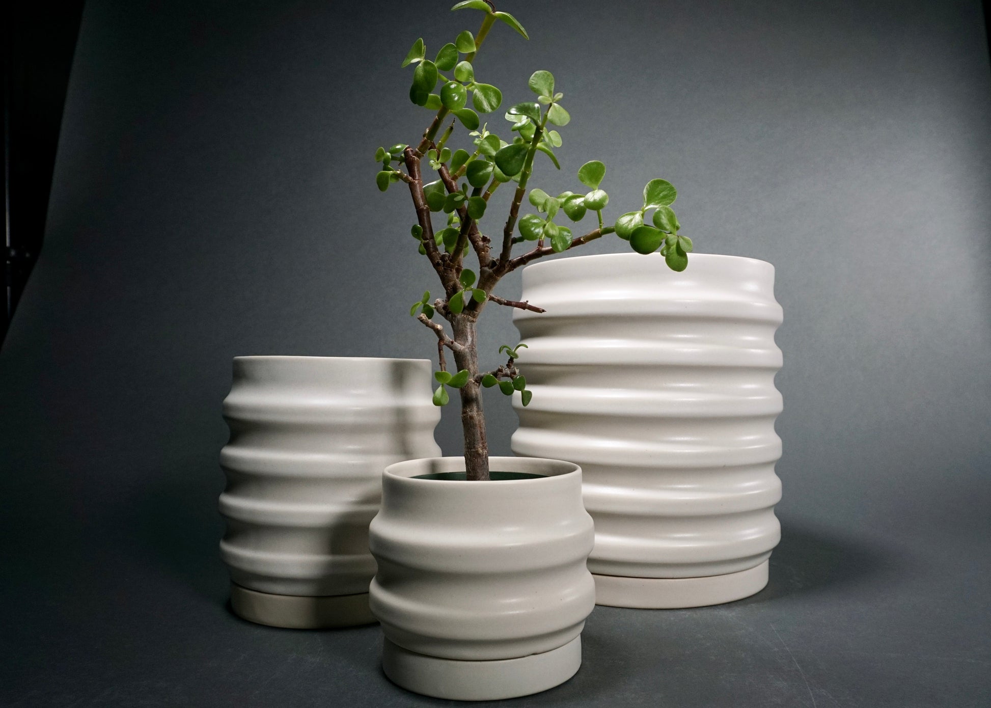 Primera Planters-1