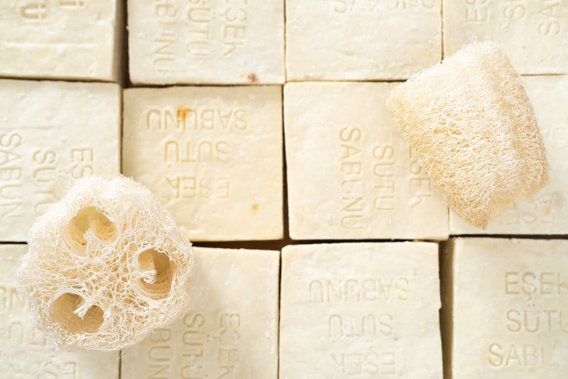 Donkey Milk Soap Bar-zoom-