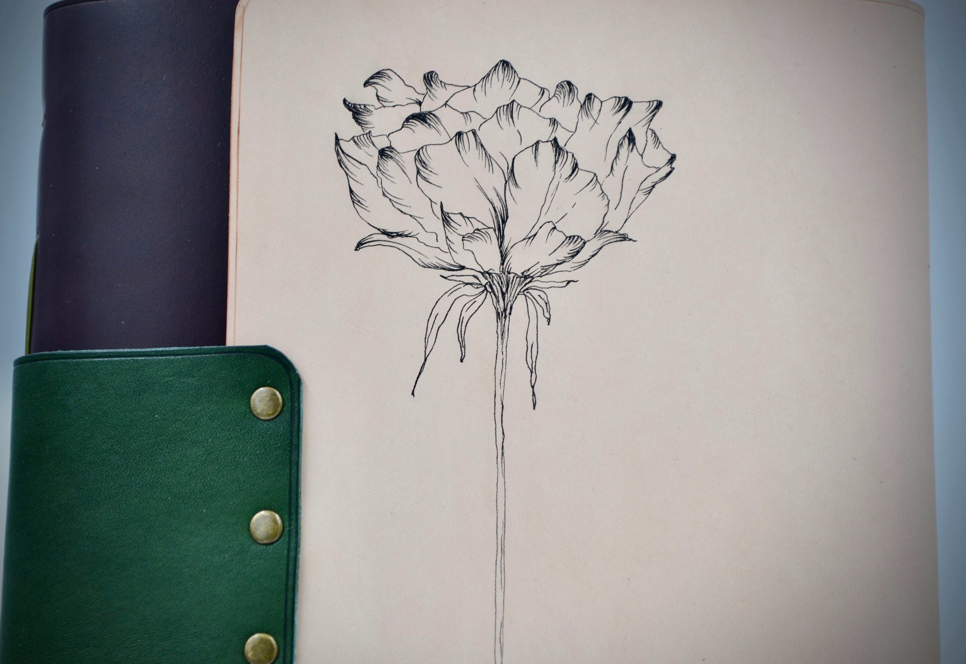 Poppy Light | Journey Journal-zoom-6