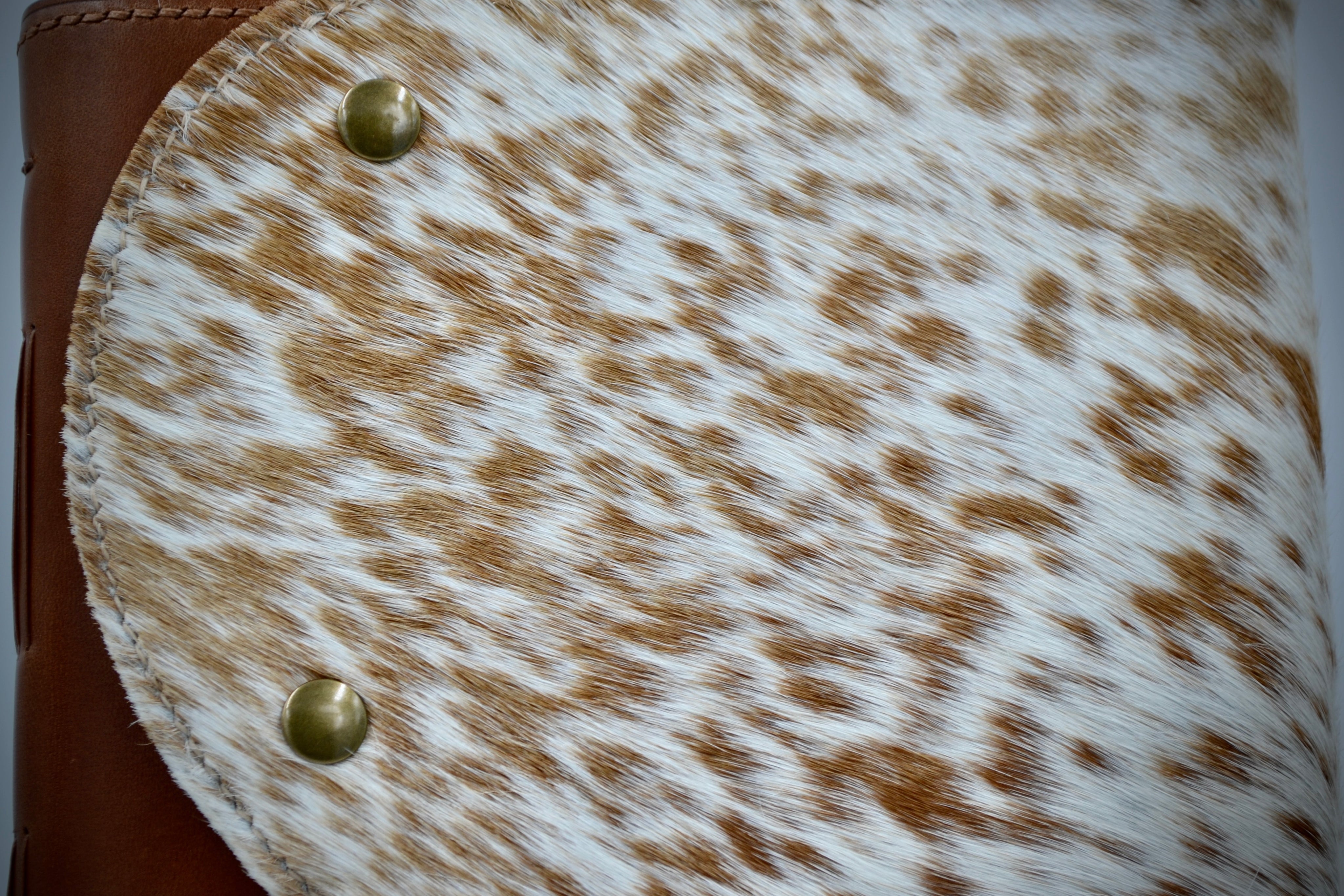 Longhorn Luv | Journey Journal-zoom-5