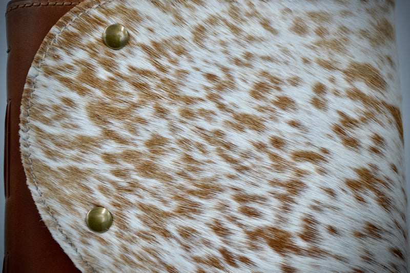 Longhorn Luv | Journey Journal-zoom-