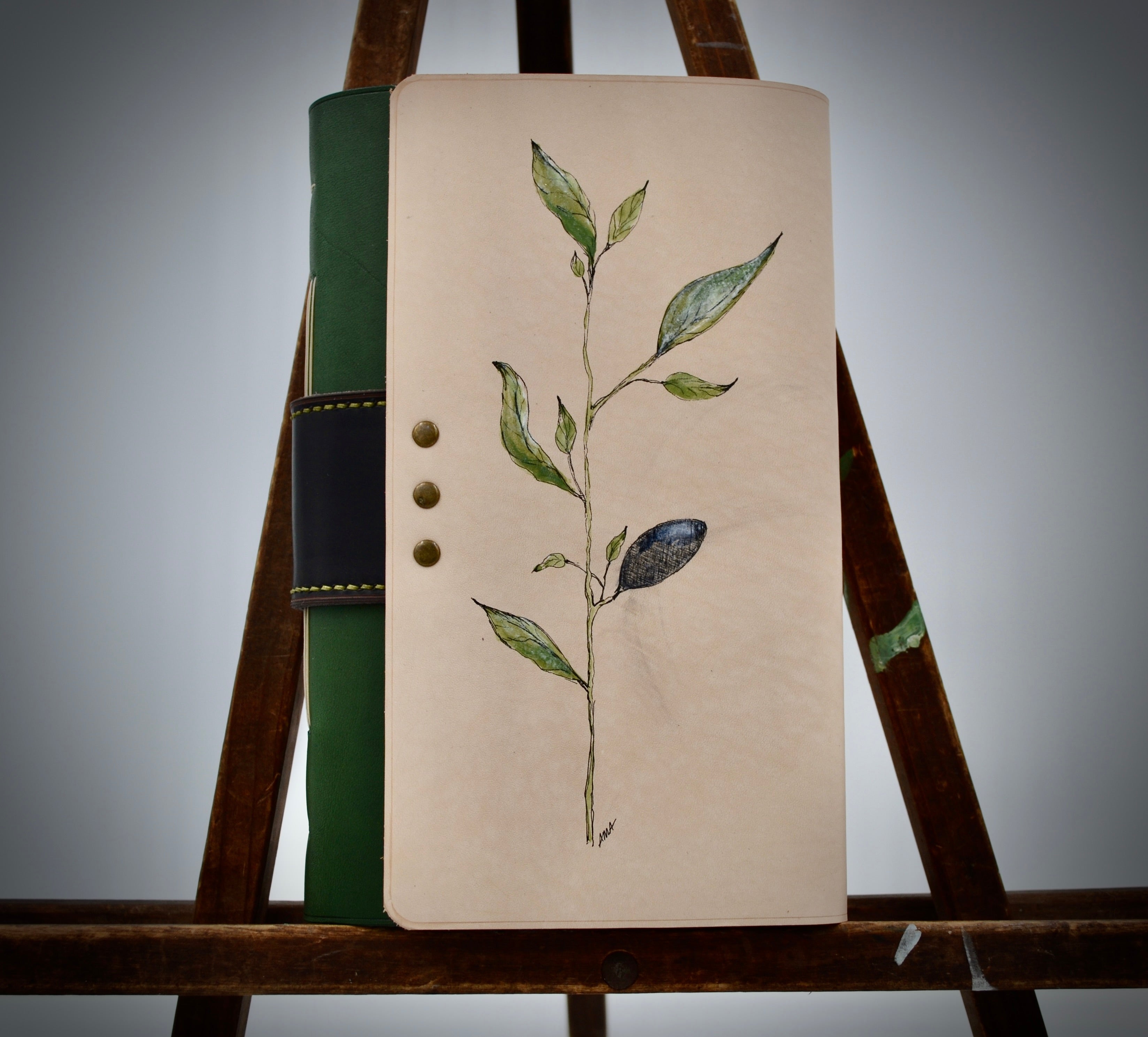 Vine Trying | Journey Journal