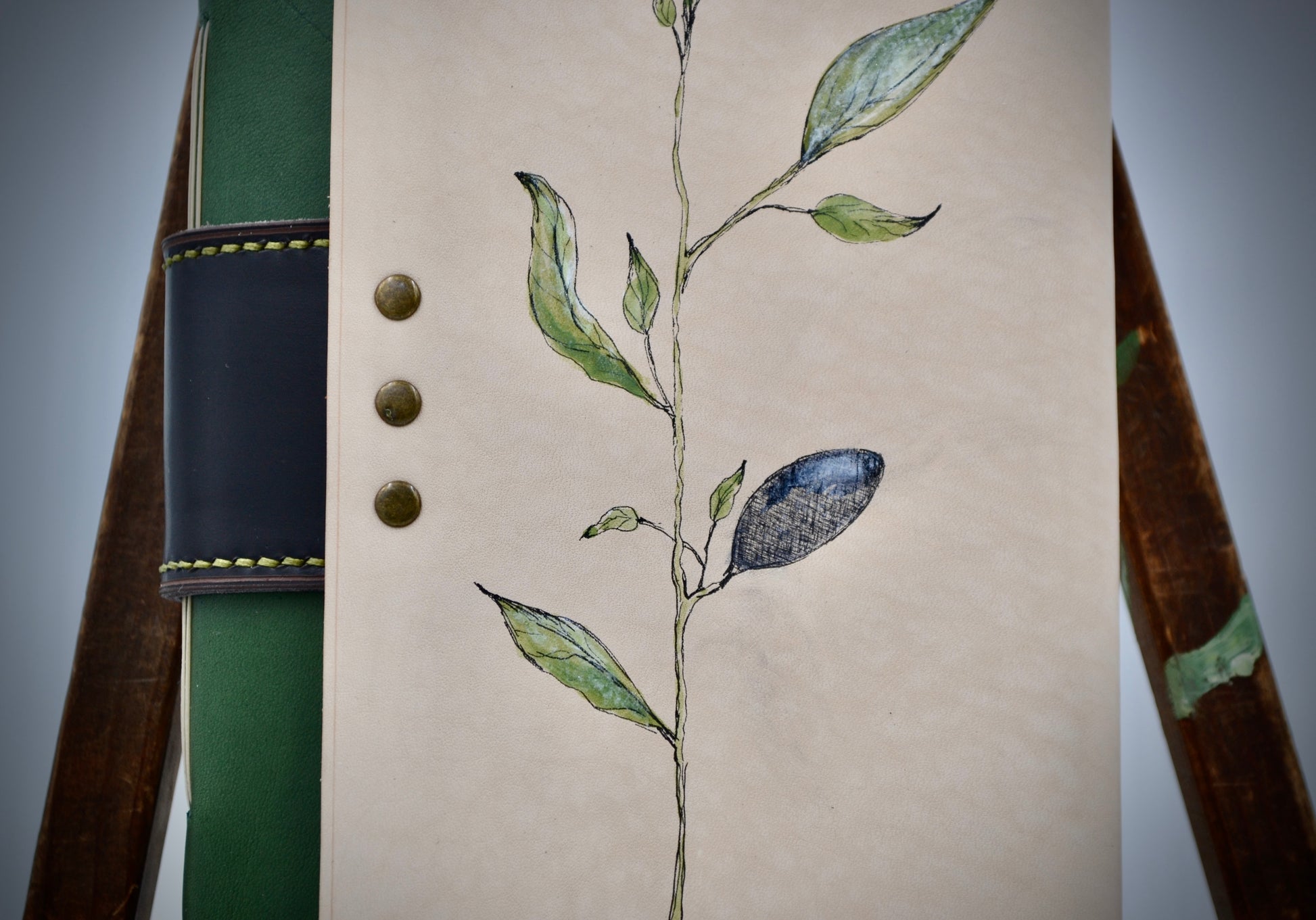 Vine Trying | Journey Journal-3