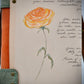 Orange Rose | Journey Journal