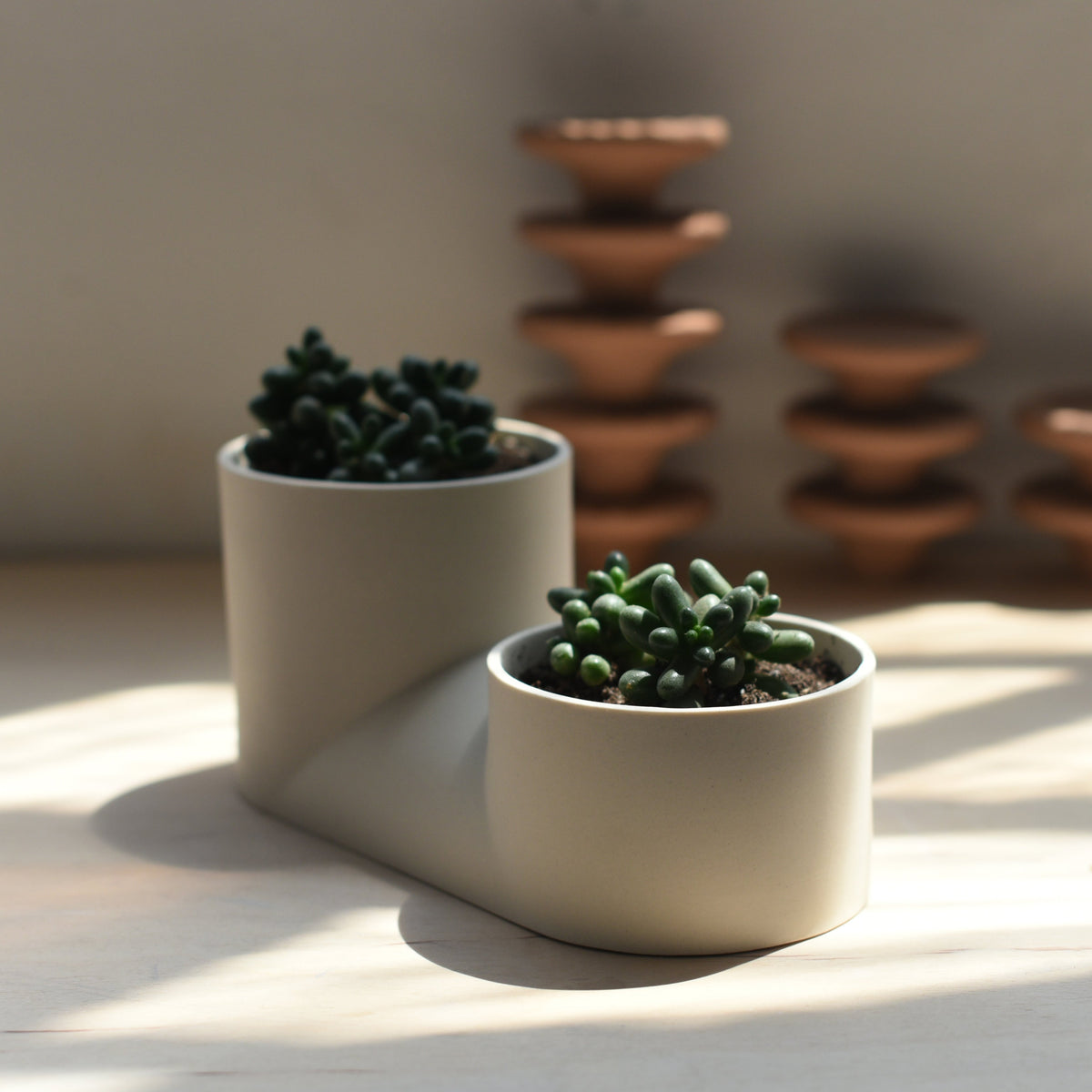 Double Planter-zoom-9