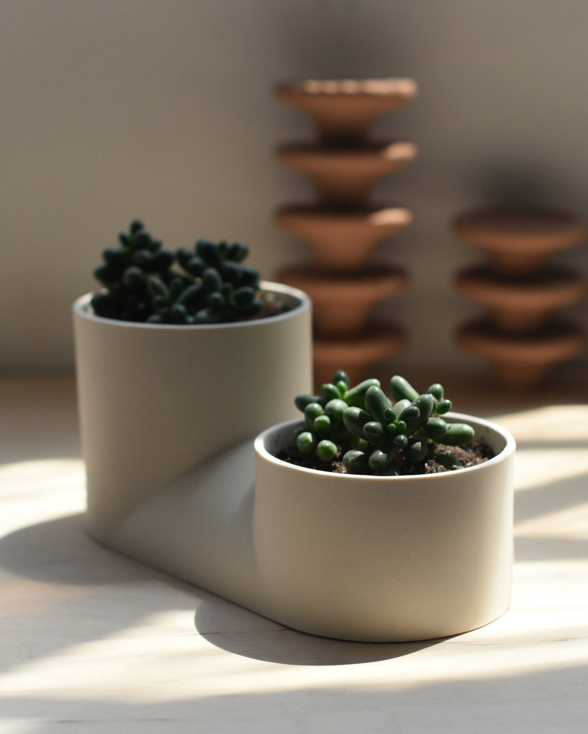 Double Planter - Aware House - Misewell -