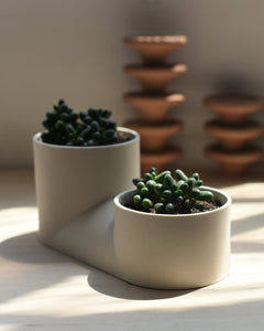 Double Planter - Aware House - Misewell -