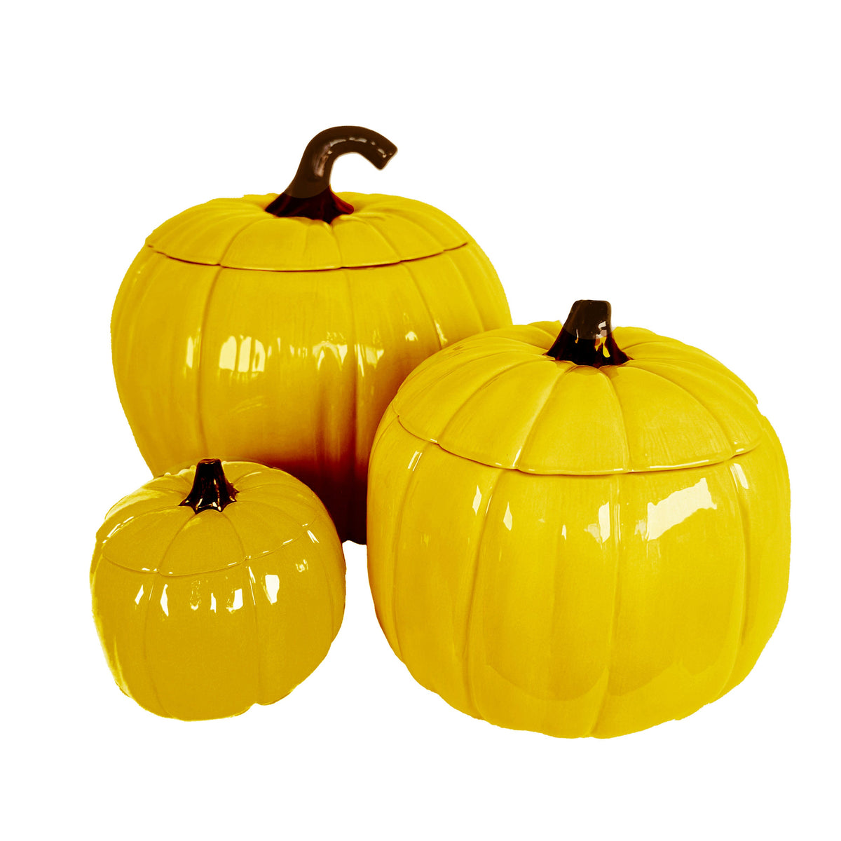 Solid Dandy Yellow Pumpkin Jars-1