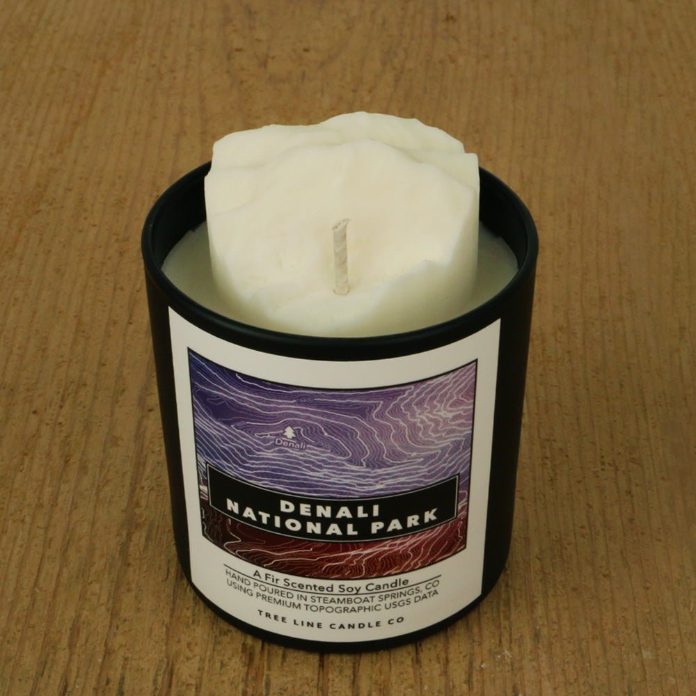 Denali National Park Candle | Fir Scented Soy Candle with 3D Denali - Aware House