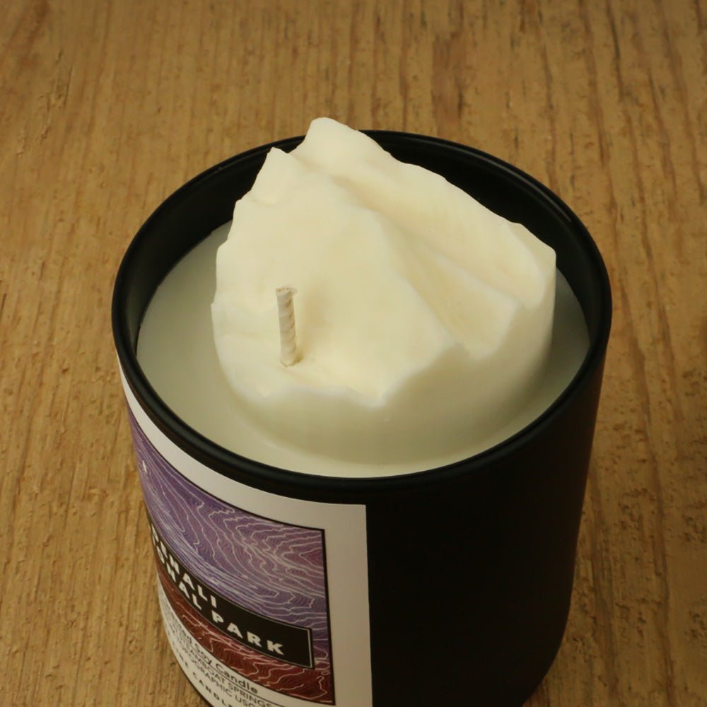 Denali National Park Candle | Fir Scented Soy Candle with 3D Denali - Aware House