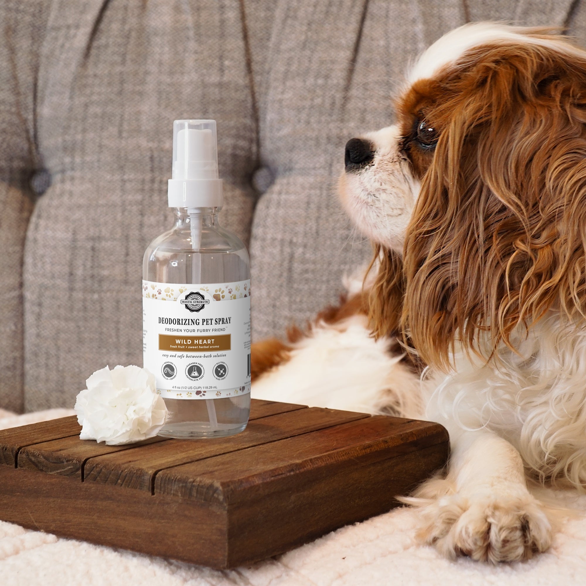 Deodorizing Pet Spray | The Between-Wash Wonder-zoom-2