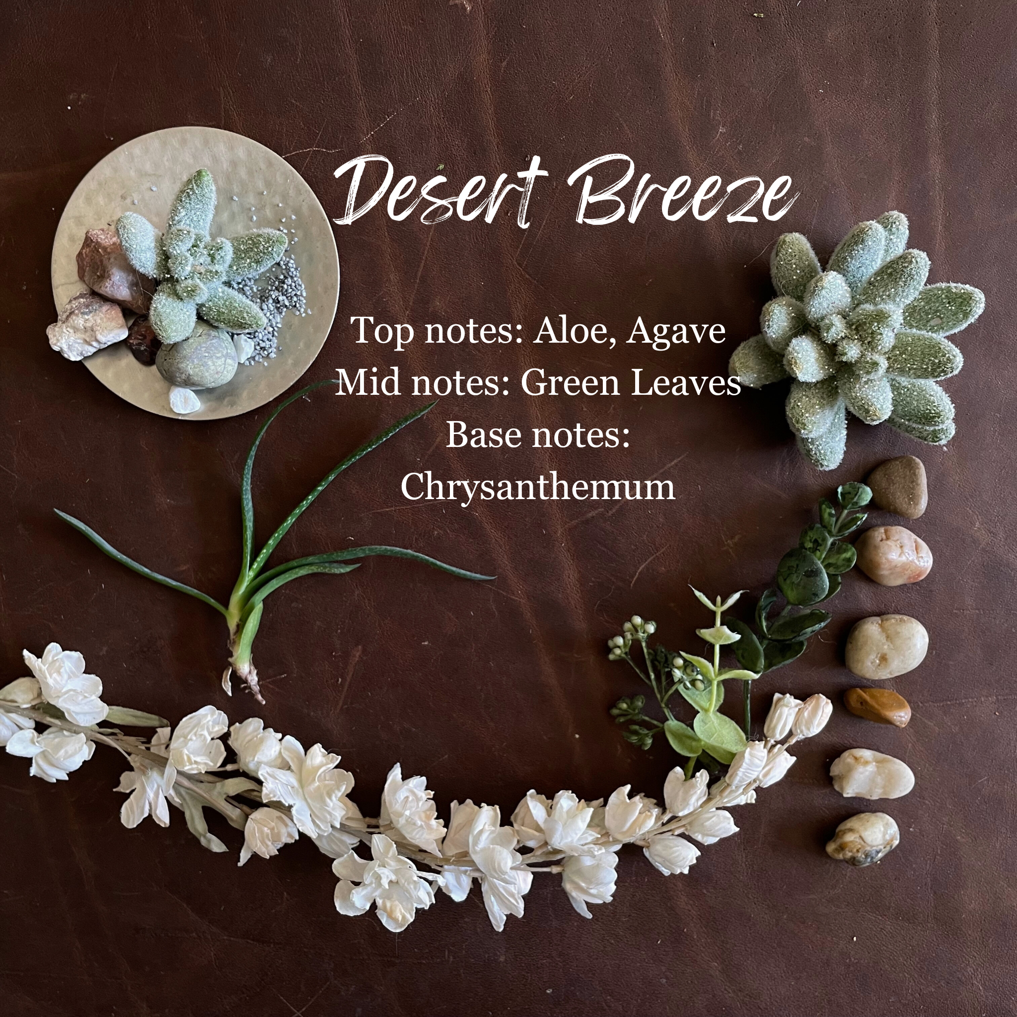 Desert Breeze Candle, Wax Melt, Diffuser & Room Spray-zoom-8