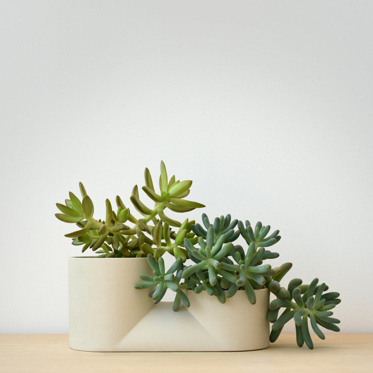 Double Planter-zoom-1