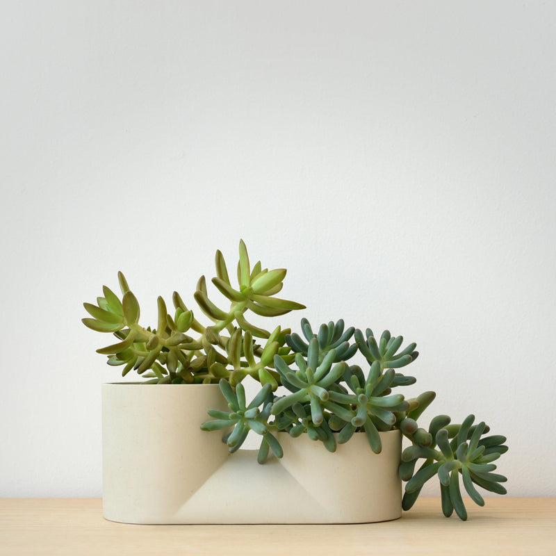 Double Planter-zoom-
