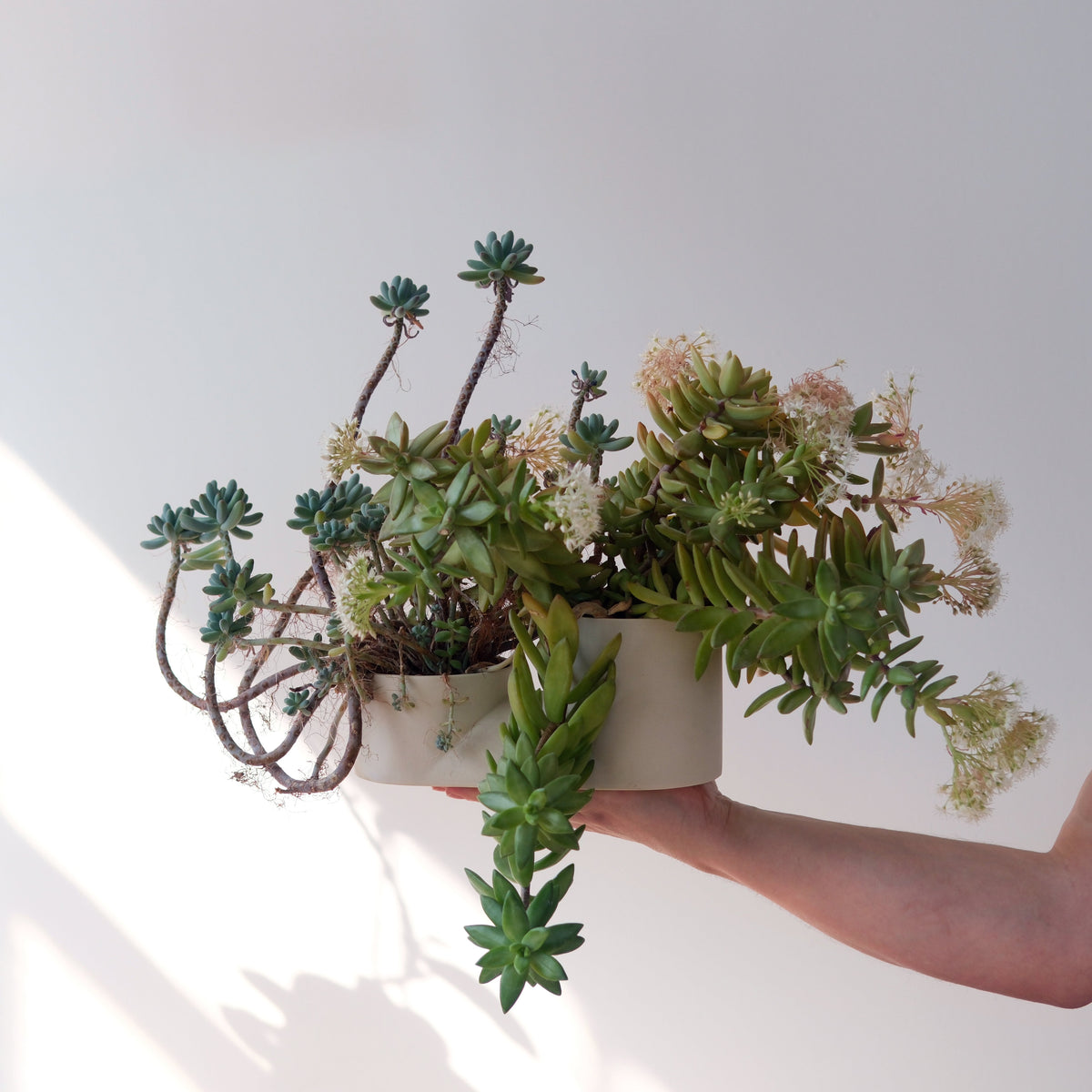 Double Planter-zoom-2