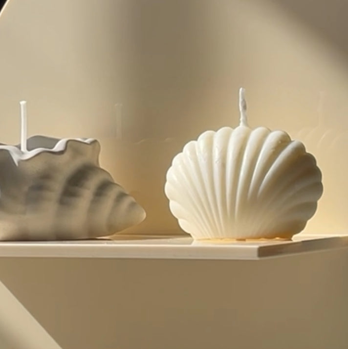 Seashell Soy Candle-zoom-3
