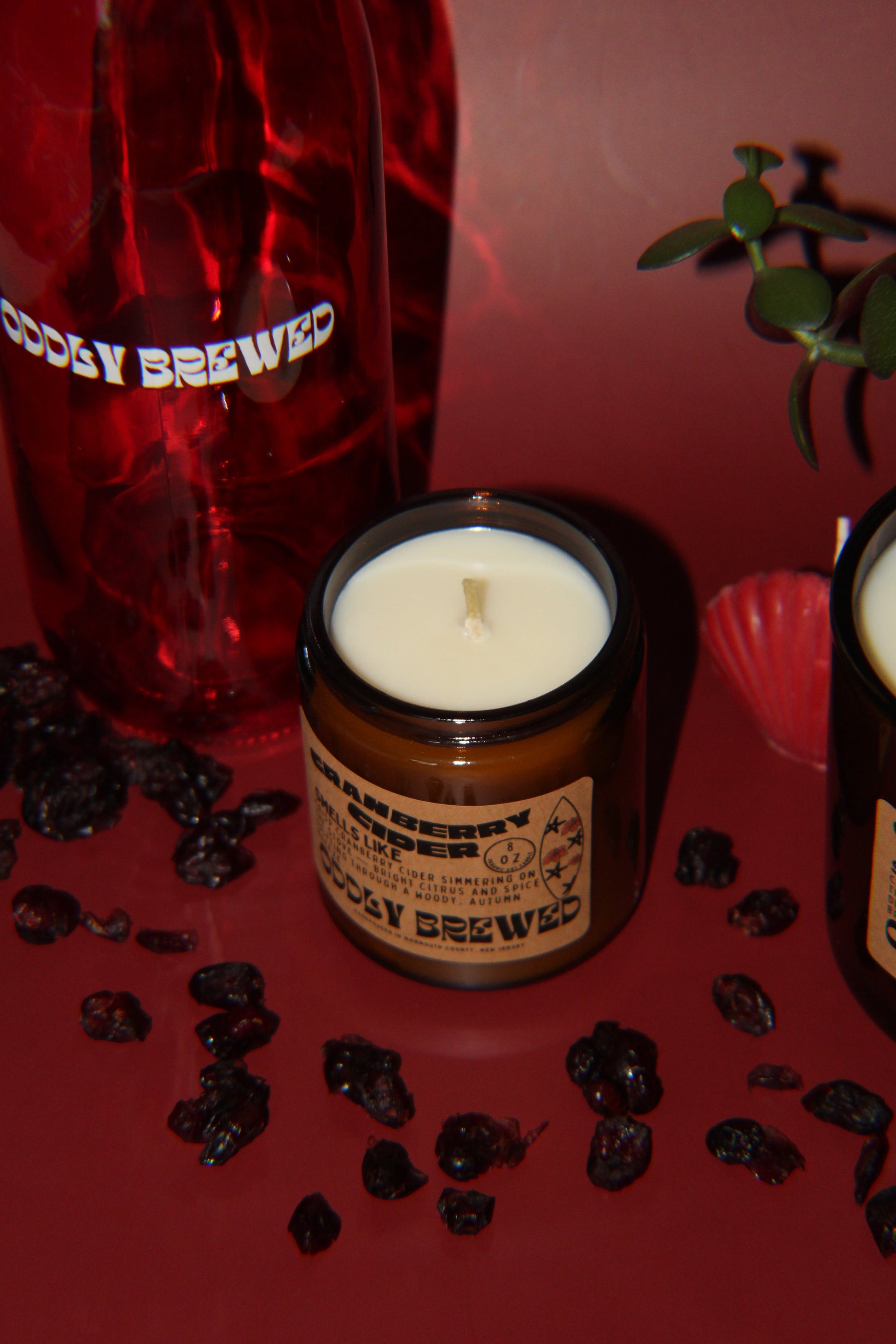 Cranberry Cider Soy Candle-3
