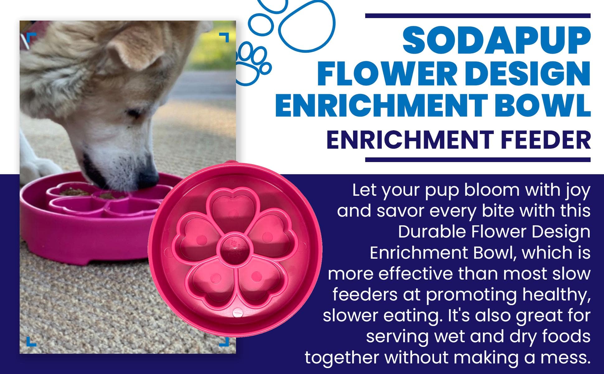 Flower eBowl - Aware House