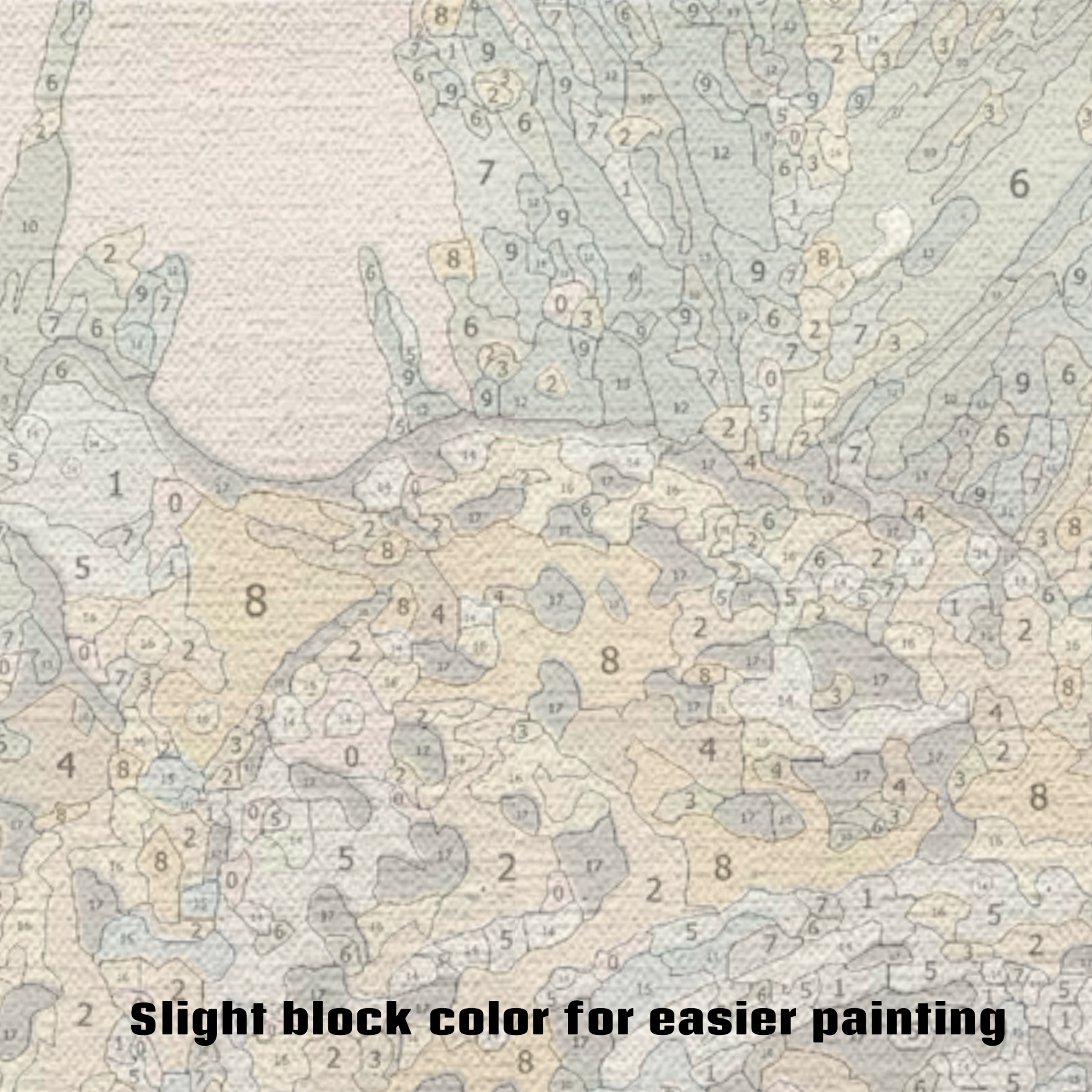 Jaguar Daisy Paint by Numbers Kit