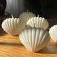 Seashell Soy Candle