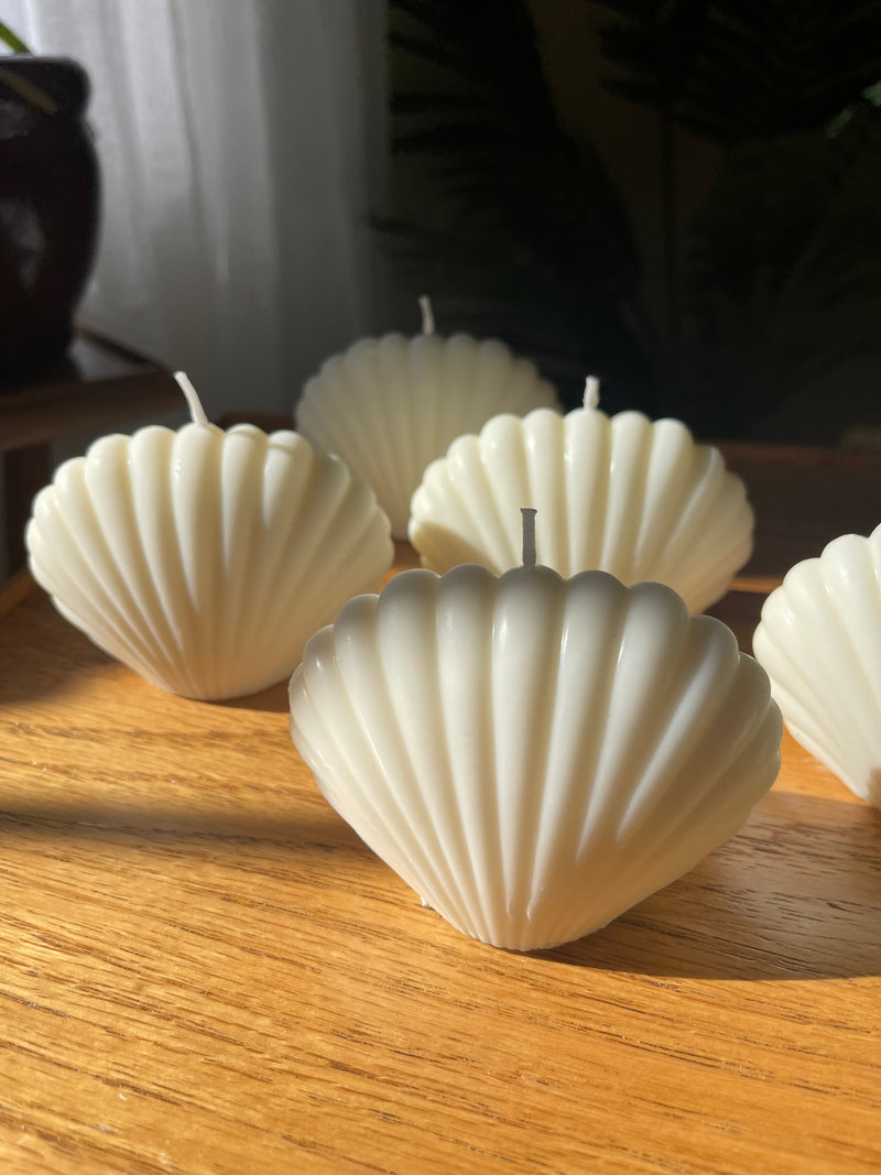 Seashell Soy Candle-zoom-